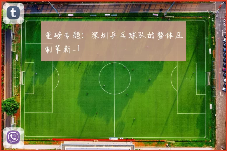 重磅专题：深圳乒乓球队的整体压制革新_1