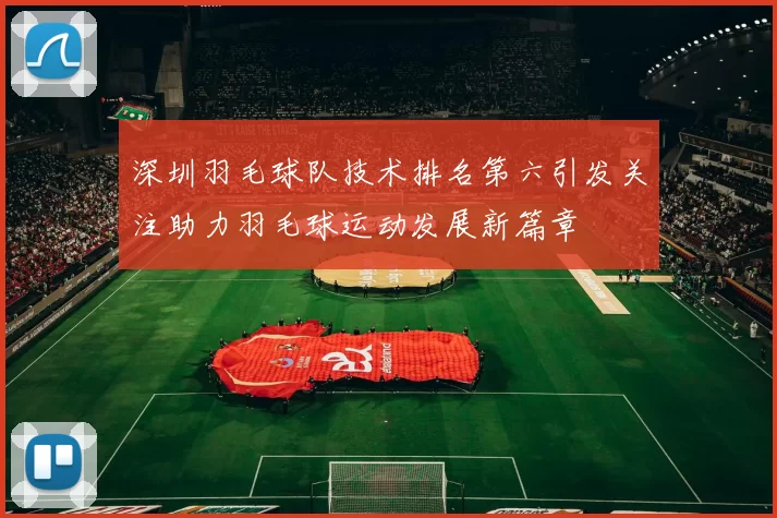 深圳羽毛球队技术排名第六引发关注助力羽毛球运动发展新篇章