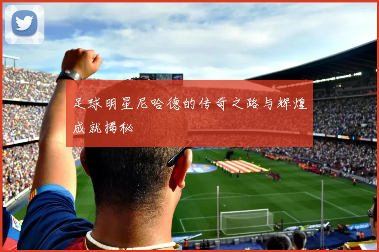 足球明星尼哈德的传奇之路与辉煌成就揭秘