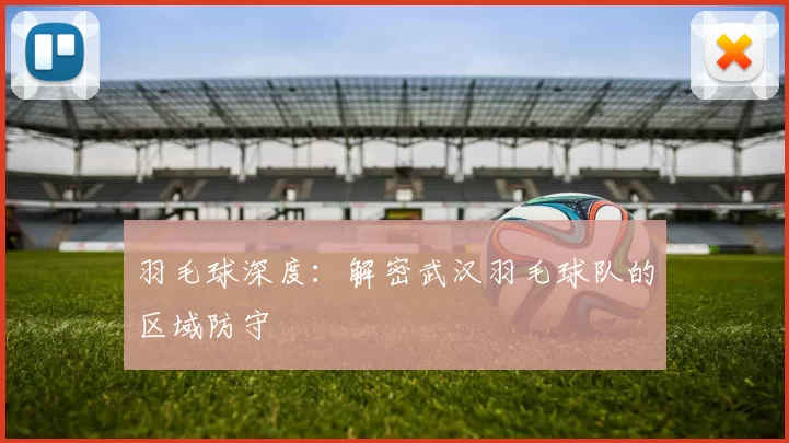 羽毛球深度：解密武汉羽毛球队的区域防守