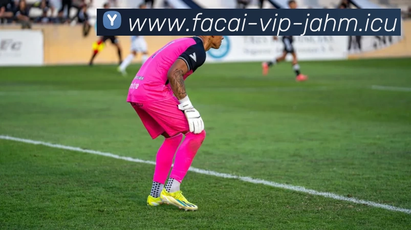 乐竞体育发展历程